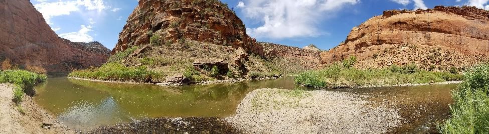 Confluence of the Dolores and San Miguel Rivers