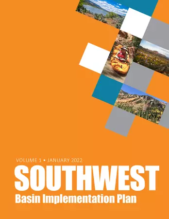 Orange cover of the Southwest BIP report