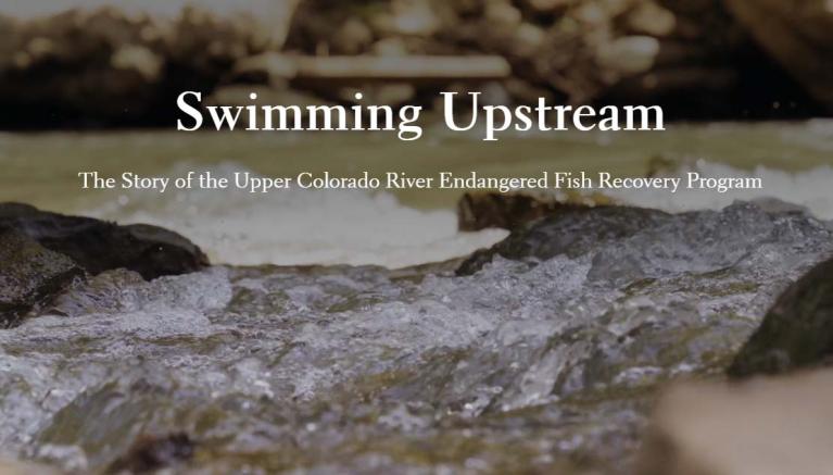 Story of the Upper Colorado Endangered Fish Recovery Program
