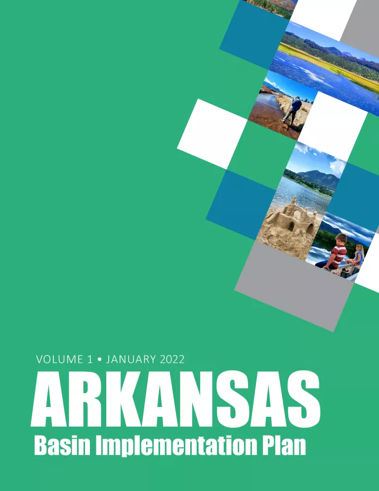Green cover of the Arkansas BIP report