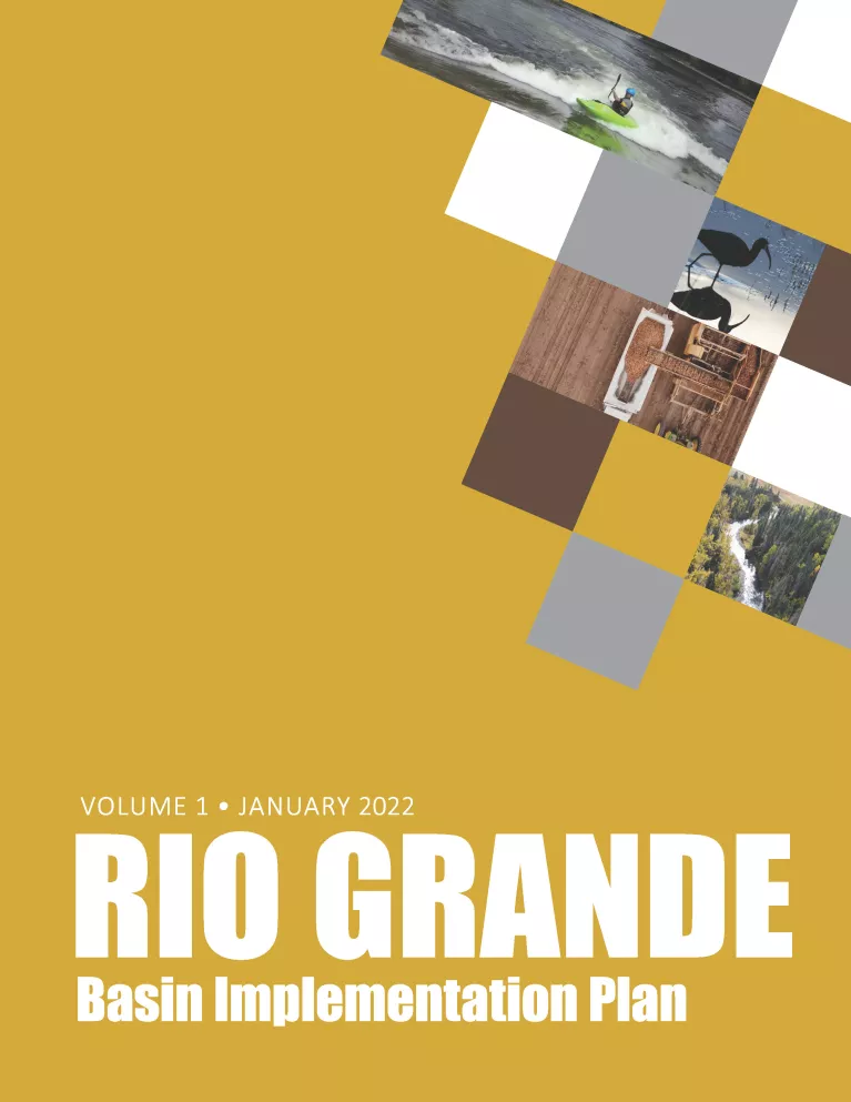 Gold cover of the Rio Grande BIP Report