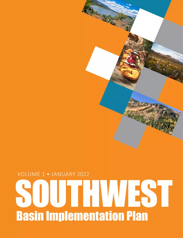 Orange cover of the Southwest BIP report