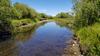 Tomichi Creek