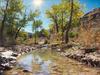 Monitor Creek