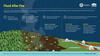Flood After Fire Infographic